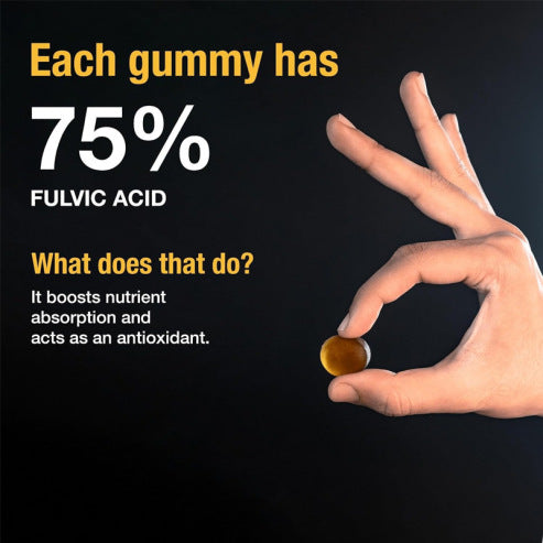 Pure Himalayan Shilajit Gold Gummies